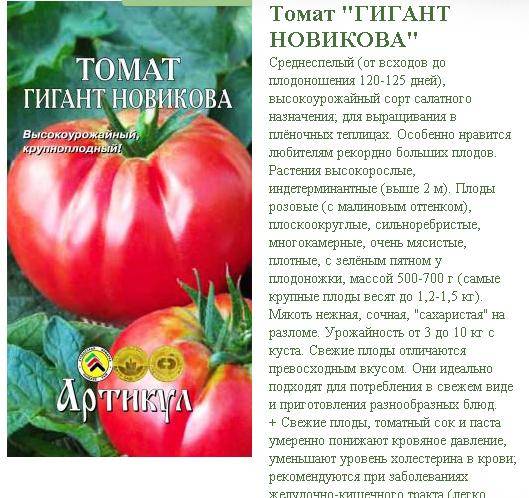 Характеристика сорта томата любаша: производитель семян, достоинства и недостатки, впечатления садовов о сорте