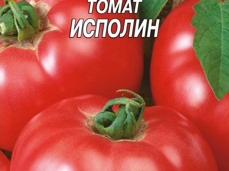 Лучшие сорта помидор для ростовской области открытый грунт