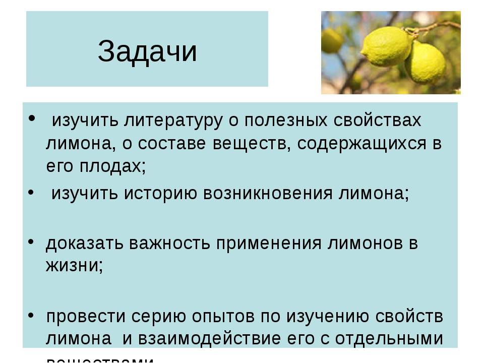 Проект удивительный лимон