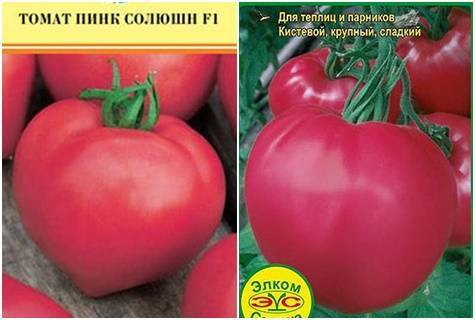 Томат пинк импрешн (f1): розовый гибрид и его преимущества, описание и характеристика, инструкция по выращиванию