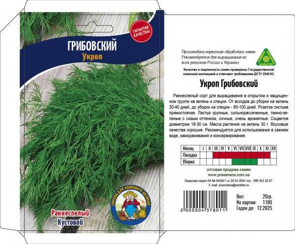 Укроп грибовский: описание и характеристика сорта, выращивание с фото
