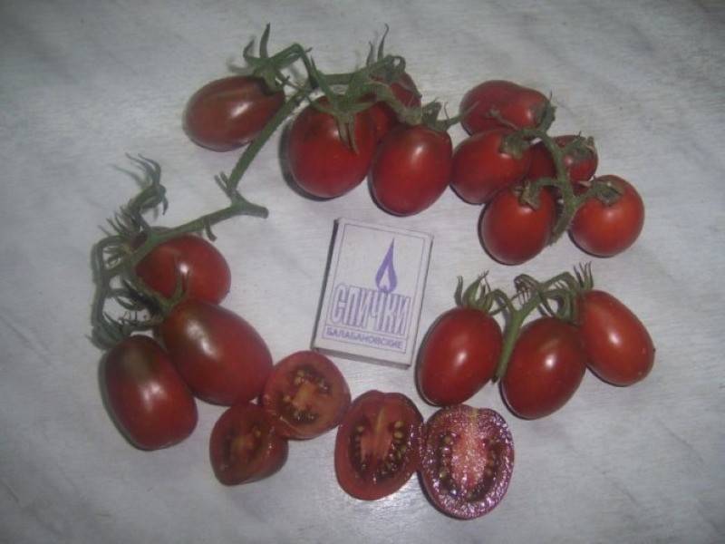 Чёрный мавр: помидор оригинальной раскраски и прекрасного вкуса