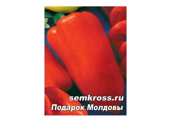 Перец подарок молдовы: характеристика и описание сорта + фото