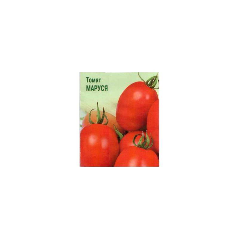 Томат маруся: характеристика и описание сорта, отзывы о нем, фото кустов и помидоров, а также советы по выращиванию