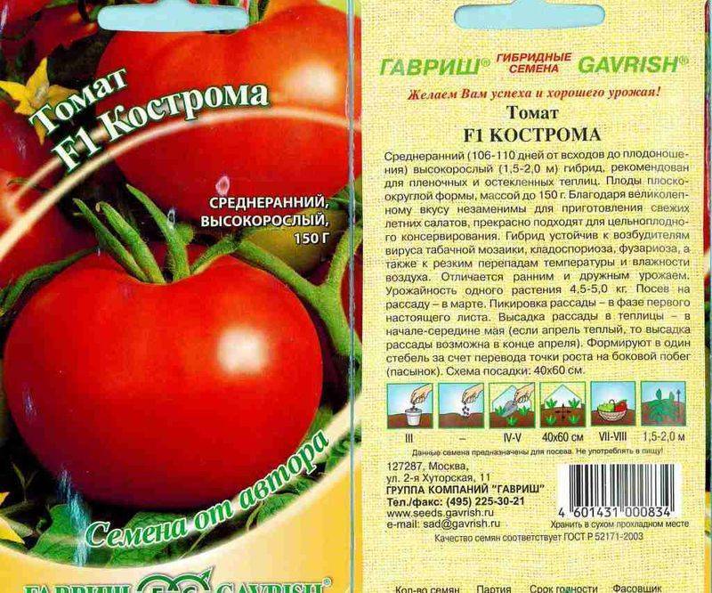 Крепкий красавец без теплиц — томат татьяна: характеристика и описание сорта