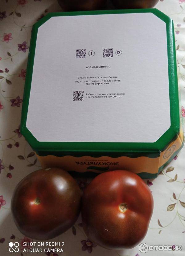 ᐉ помидоры "кумато": описание сорта, особенности выращивания, фото черного томата - orensad198.ru