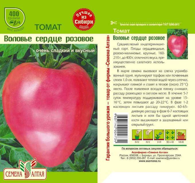 «воловье сердце» — томат с отличными характеристиками