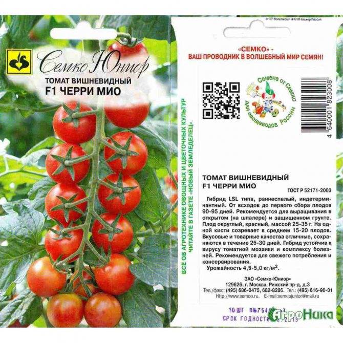 Выращиваем томат клубничное дерево: отзывы и особенности сорта