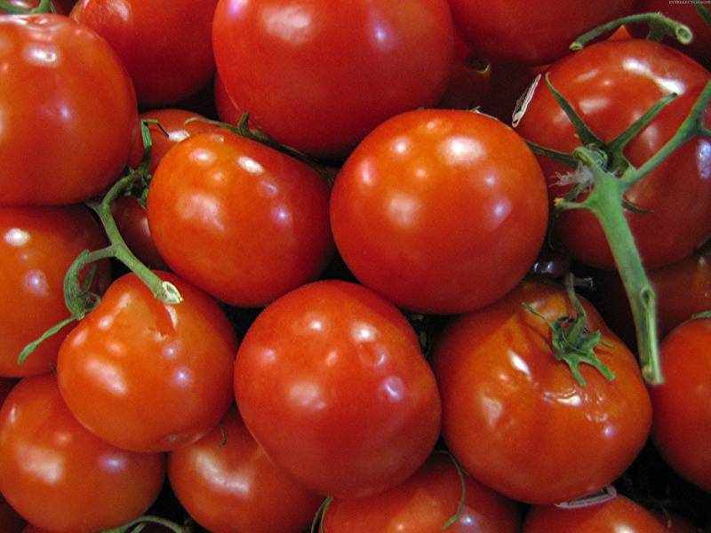 Можно ли брать семена от гибридов томатов. посадка семян помидоров с гибрида f1. эксперимент можно ли брать семена с гибридных томатов