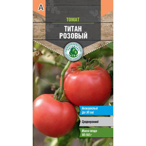 Описание сорта томатов “титан”: отзывы