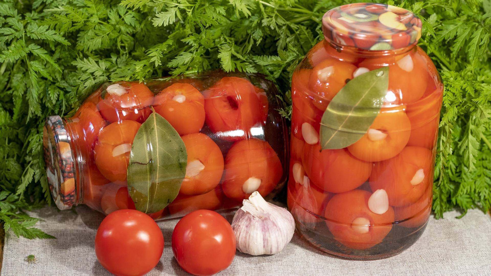 Засолка помидоров в ведре: простые посолы горячим и холодным способом, лучшие рецепты заготовок на зиму