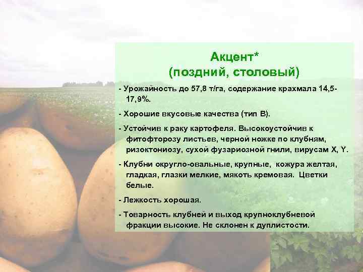 Картофель луговской: описание сорта, фото, отзывы о вкусовых качествах и сроках хранения, характеристика урожайности, а также советы фермеров по выращиванию