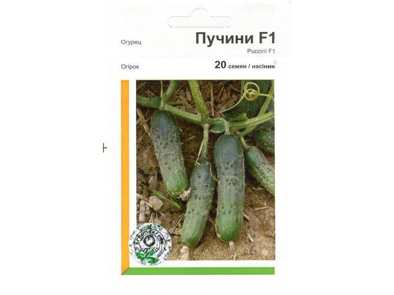 «сибирский экспресс f1»: яркий вкус и привлекательный вид плодов