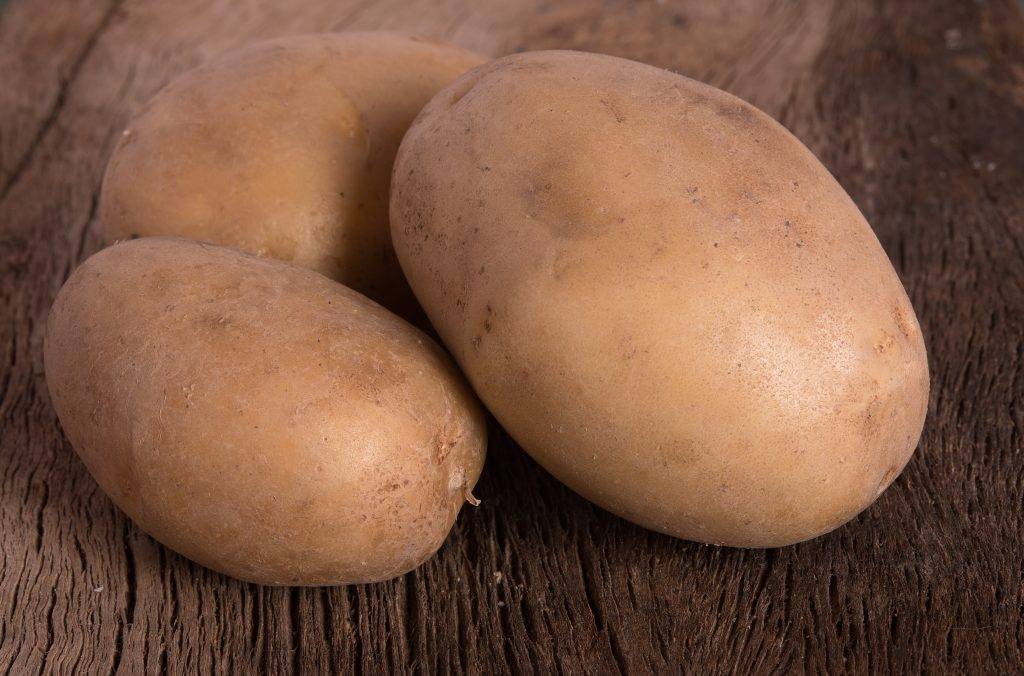 Картофель "голубизна": описание и характеристика сорта, фото, отзывы