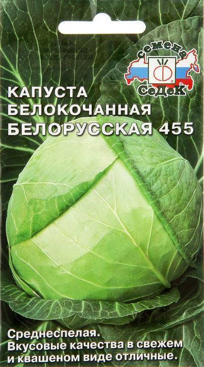 Капуста белорусская: описание сорта, фото и отзывы