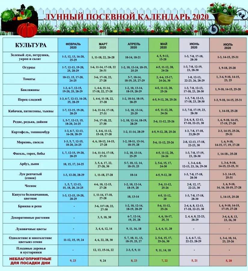 Лунный календарь для растений по дням на июль 2021