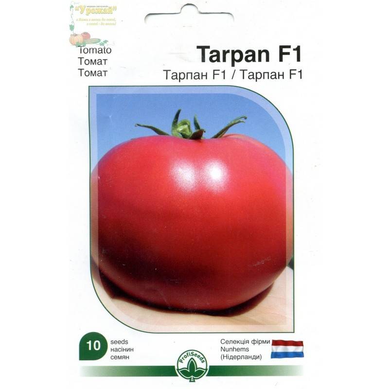 Помидор «тарпан» f1: описание сорта, фото и основные характеристики томата русский фермер