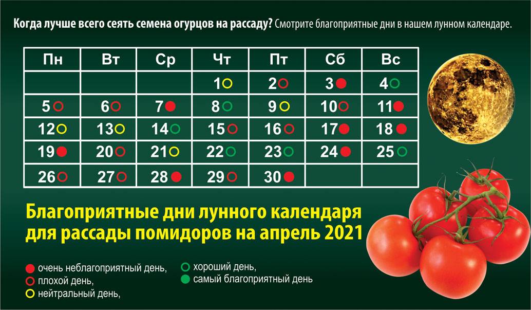 Посадка помидор на рассаду по лунному календарю на 2021 год