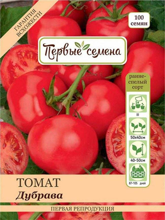 Сорт помидор дубрава: урожайность и особенности выращивания