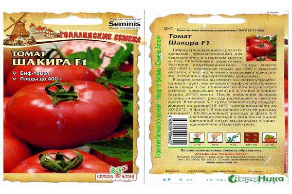 Описание гибридного томата Шакира и особенности выращивания растения