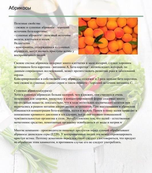 Абрикосы — полезны свойства плодов и ядрышек для человека и вред