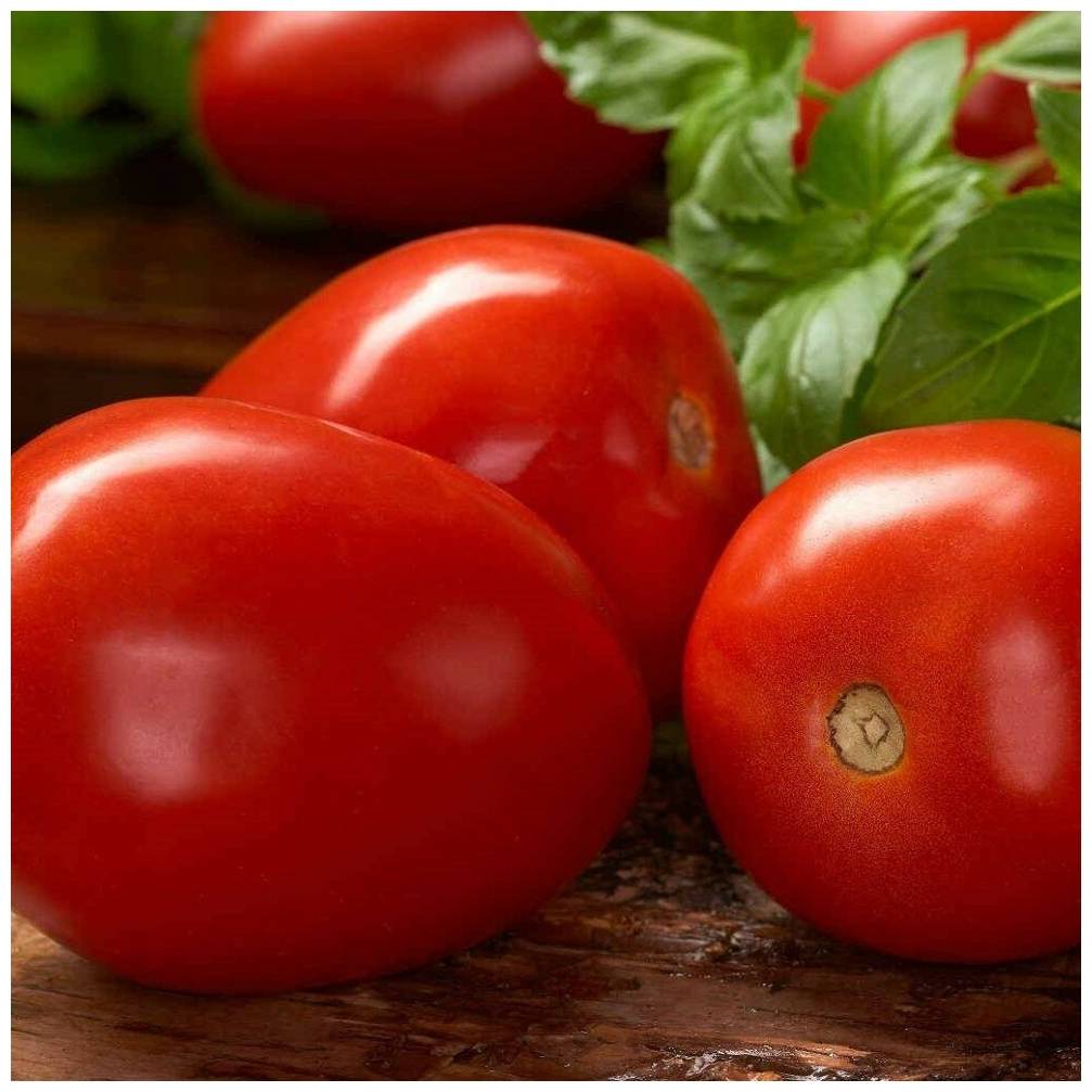 Гибрид с прекрасный вкус и урожайностью — томат рома f1: описание и характеристики сорта