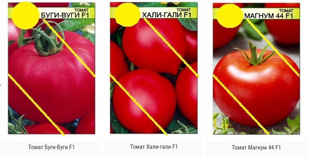Томат хали-гали f1: характеристика и описание сорта, фото, отзывы, урожайность