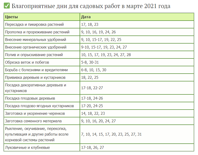 Благоприятные дни для посадки огурцов в мае 2022 года по дням: благоприятные дни по лунному календарю, особенности выращивания
