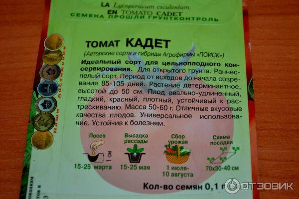 Характеристика и описание томата Кадет, выращивание сорта рассадным способом