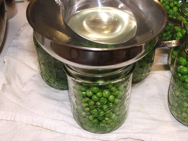Горошек зеленый консервация. как консервировать зеленый горошек в домашних условиях