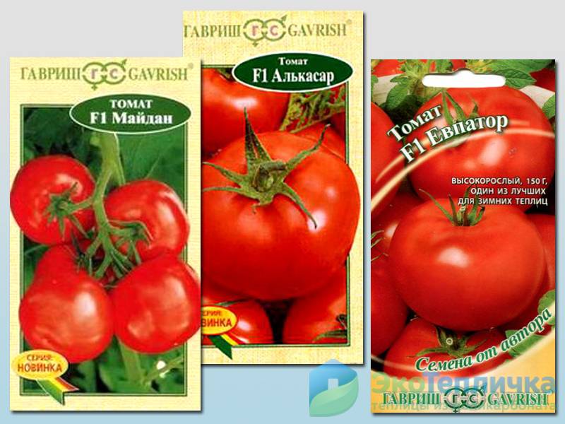 Самые сладкие сорта томатов для открытого грунта / крупные плоды помидоров на кустах