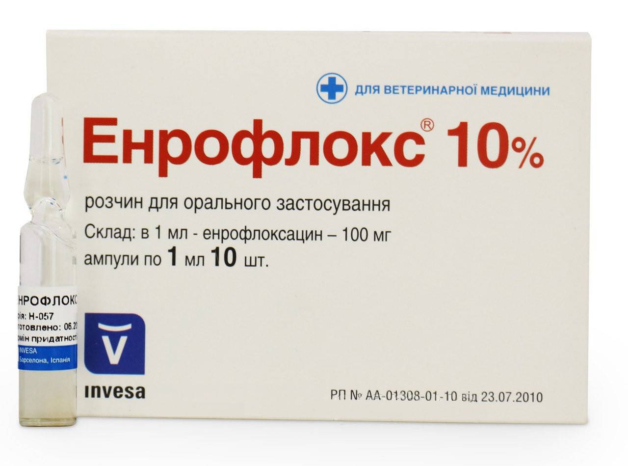 Энрофлокс 10% инъекционный 100 мг