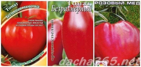 Характеристика томата толстый боцман и выращивание из семян в открытом грунте