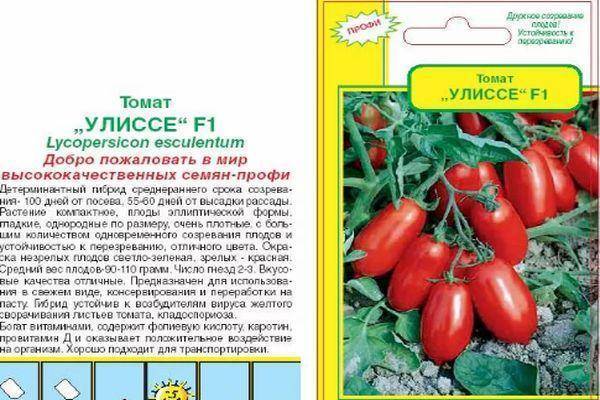 Агротехника томатов шаста f1