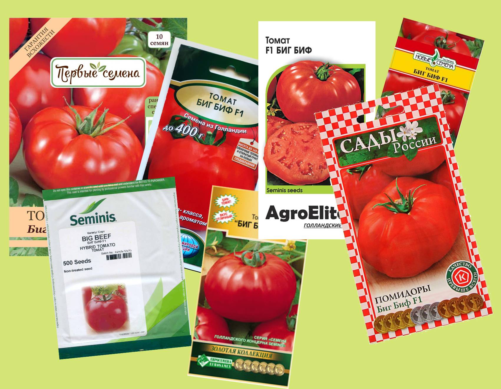 Самые урожайные сорта томатов для теплиц: крупные, новые, ранние, видео