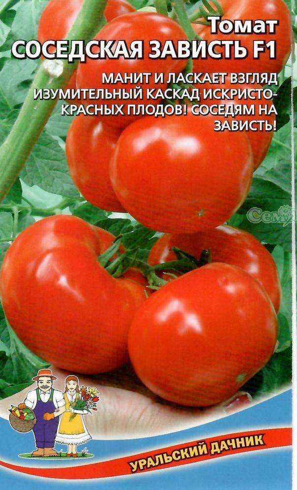 Томат соседская зависть f1 описание и характеристика сорта урожайность отзывы фото