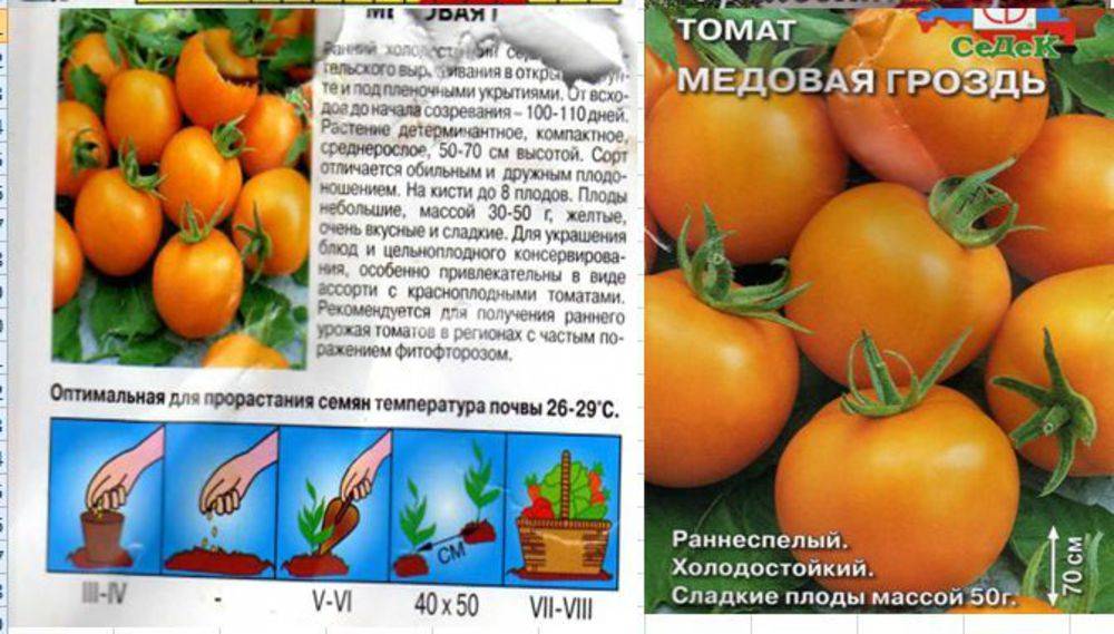 Сладкий и красивый как спелое яблоко — томат антоновка медовая: описание и характеристики сорта