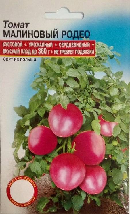 Урожайный биф-томат малиновый великан. описание особенностей сорта и рекомендации по выращиванию