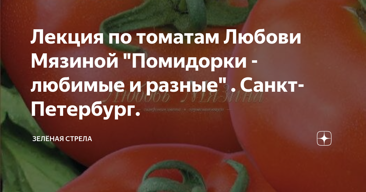 Помидоры «моя любовь» f1: описание сорта и основные характеристики томата русский фермер