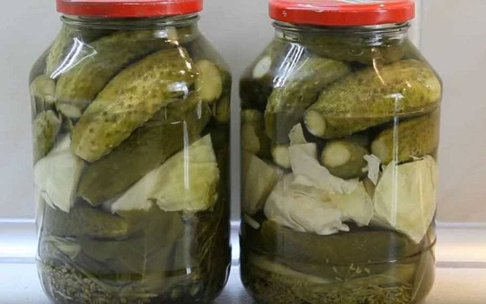 Пошаговые рецепты маринования огурцов с капустой в банках на зиму и условия хранения консервации