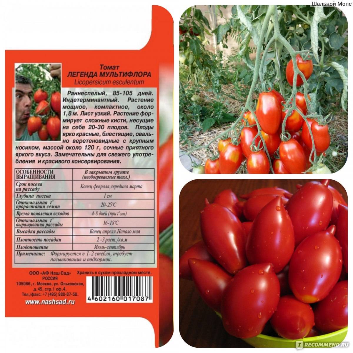 Детерминантные помидоры: чем хороши и как их выращивать