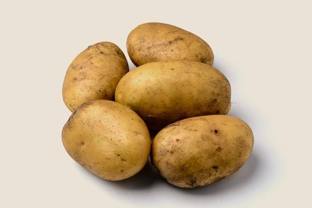 Чем хорош немецкий сорт картофеля «зекура»: описание, характеристика и отзывы