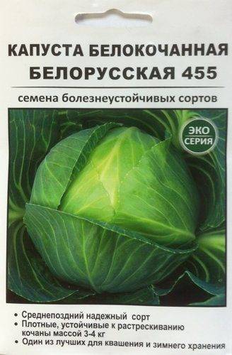 Капуста белорусская: фото, описание сорта, выращивание, отзывы