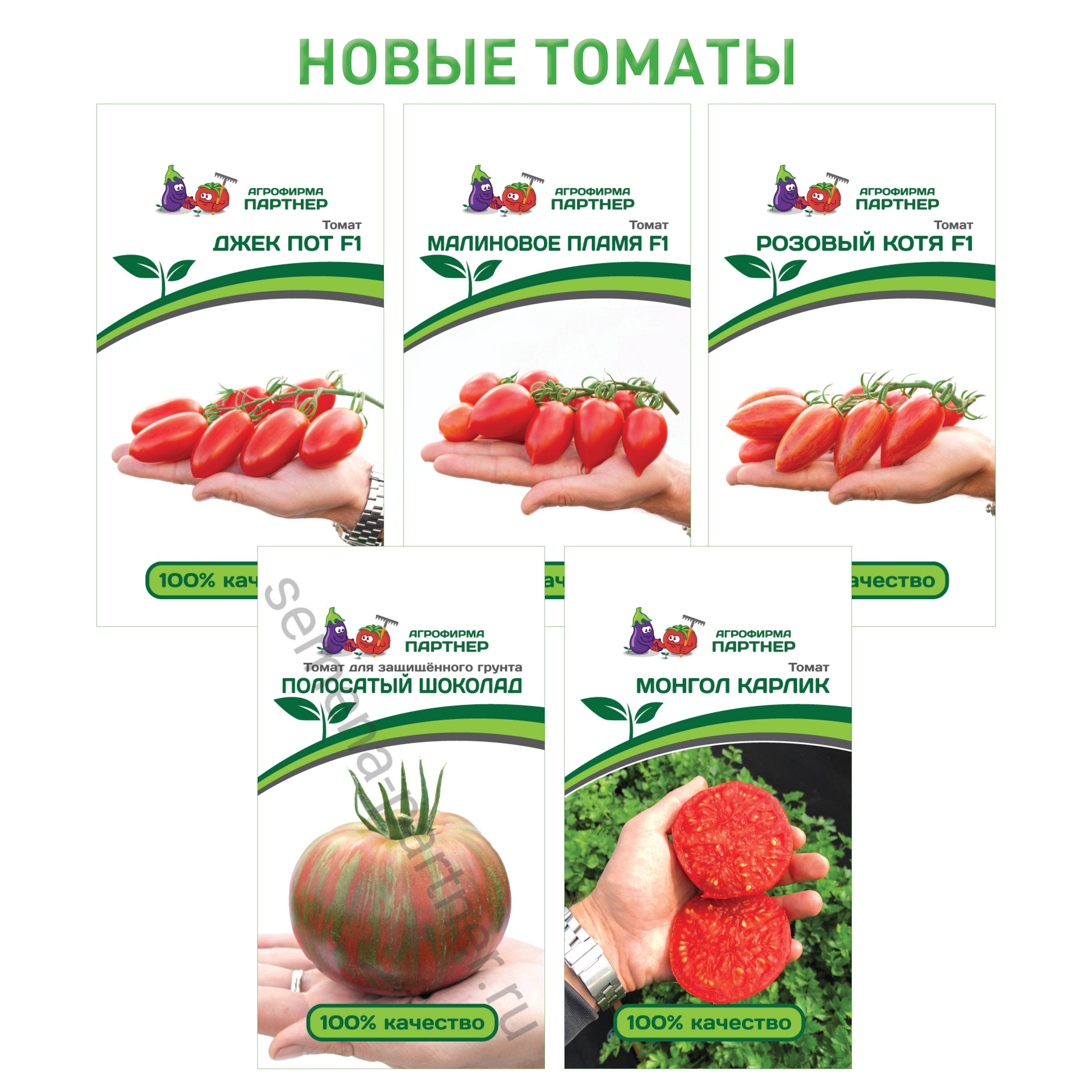 Топ 15 производителей семян томатов: как выбрать семена томатов