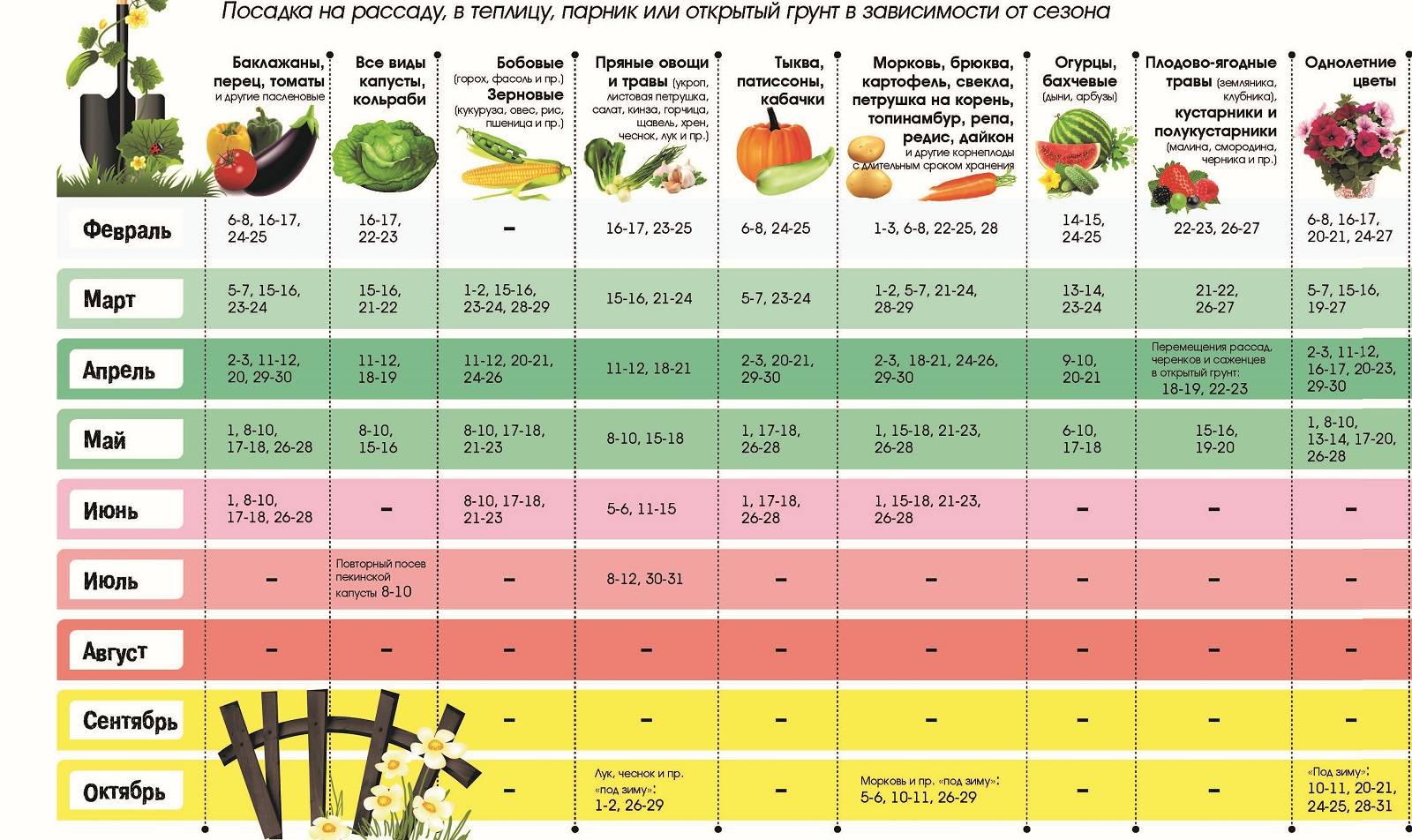 Когда сажать помидоры на рассаду в 2021 году по лунному календарю в средней полосе россии: таблица
