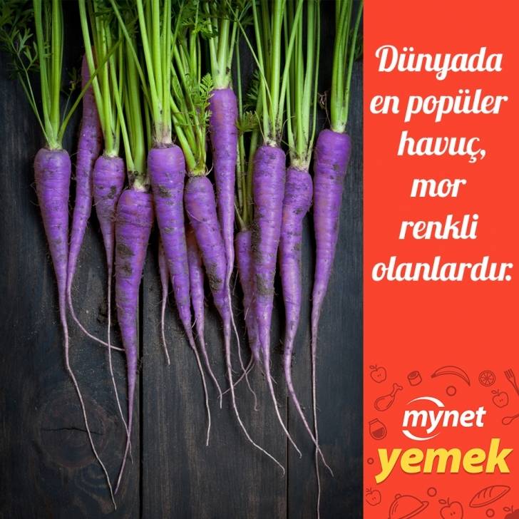Фиолетовая морковь: характеристики, фото, сорта, выращивание, отзывы огородников