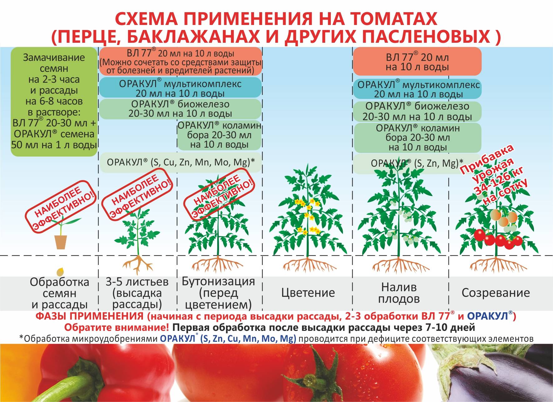 Подкормка помидоров в открытом грунте: удобрения для томатов, чем удобрять?