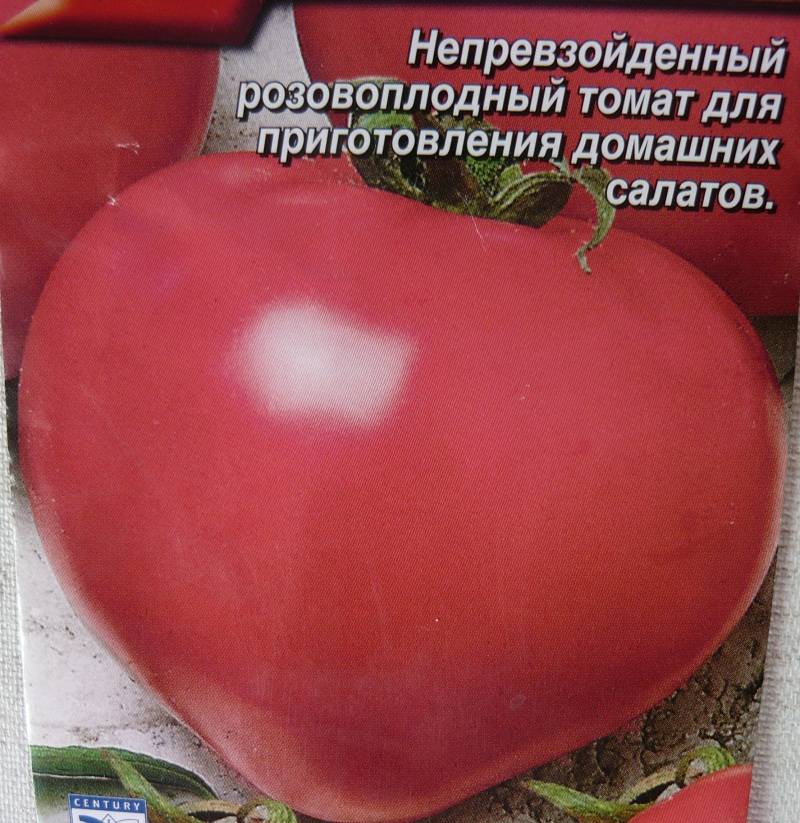 Описание томата Настя-сибирячка, выращивание и отзывы садоводов