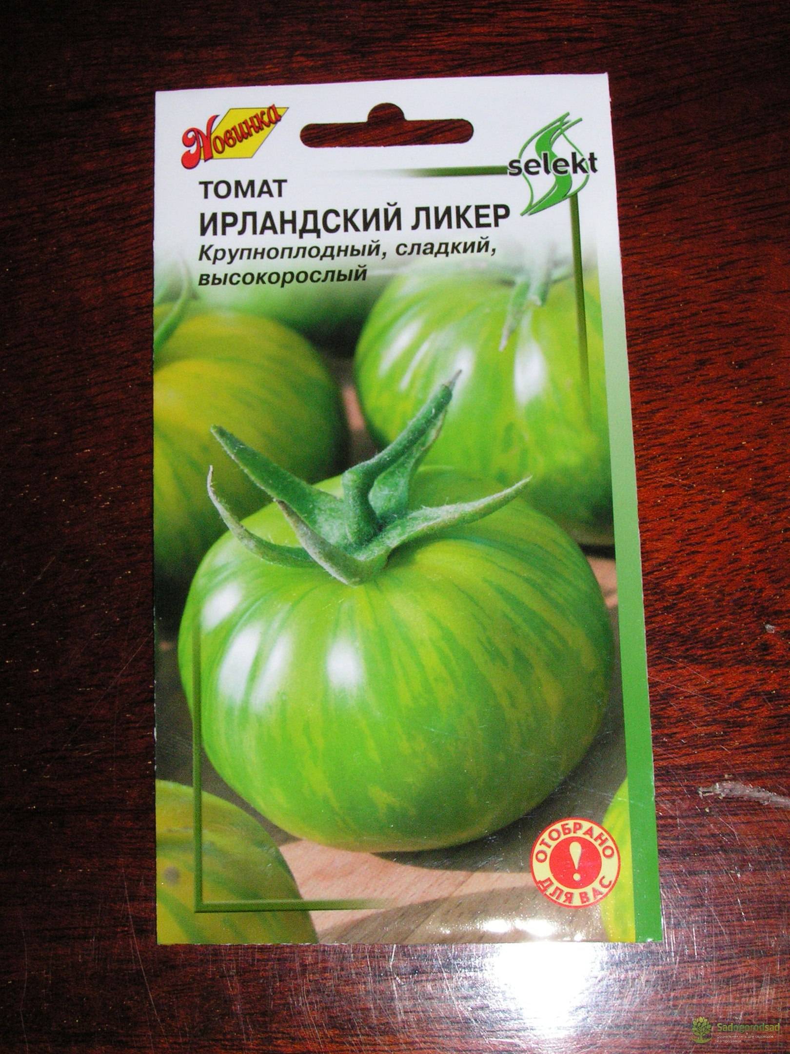 Томат ирландский ликер: характеристика и описание сорта, отзывы тех кто сажал помидоры об их урожайности, фото семян