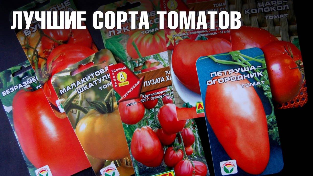 Лучшие сорта томатов для подмосковья: фото, названия и описания (каталог)
